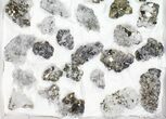 Flat - Pyrite, Galena, Quartz, Etc From Peru - Pieces #97062-2
